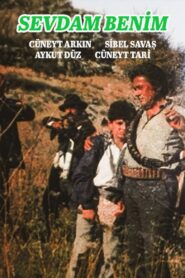 Sevdam Benim 1987 one on netflix