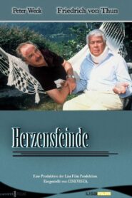 Herzensfeinde 2001 one on netflix
