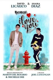 Because I Love You 2019 one on netflix