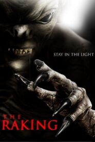The Raking 2017 one on netflix