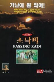 Passing Rain 1995 one on netflix