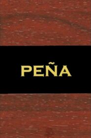 Peña: Finding the Black Rhythms of Peru 2010 one on netflix