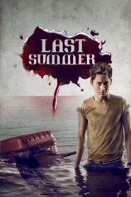 Last Summer 2013 one on netflix