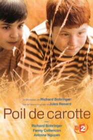 Carrot Top 2003 one on netflix