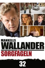 Wallander: The Sad Bird 2013 one on netflix