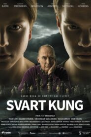 Black King 2014 one on netflix