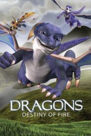 Dragons: Destiny of Fire 2006 one on netflix
