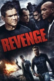 Revenge 2007 one on netflix