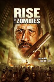 Rise of the Zombies 2012 one on netflix