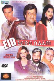 Eid Tere Naam 2004 one on netflix
