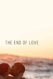 The End of Love 2020 one on netflix