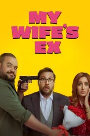 My Wife’s Ex 2024 one on netflix