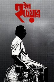 Wheel Chair 1994 one on netflix