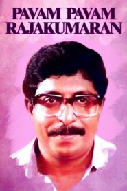 Paavam Paavam Rajakumaran 1990 one on netflix