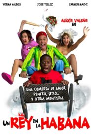 A King in Havana 2005 one on netflix