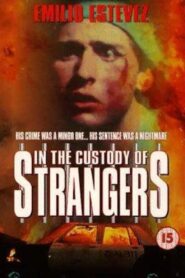 In the Custody of Strangers 1982 one on netflix