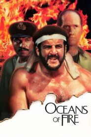 Oceans of Fire 1986 one on netflix