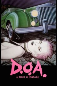 D.O.A. 1980 one on netflix