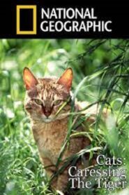 Cats: Caressing The Tiger 1991 one on netflix