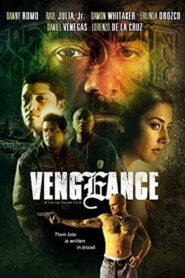 Vengeance 2004 one on netflix