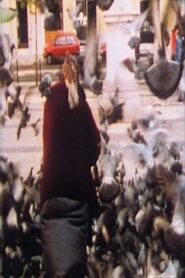 American International Pictures 1997 one on netflix