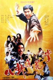 The Lotus Palm of the 8 Diagrams 1987 one on netflix