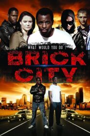 Brick City 2014 one on netflix