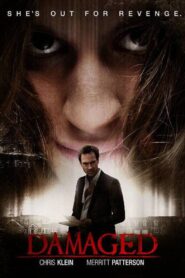 Damaged 2015 one on netflix
