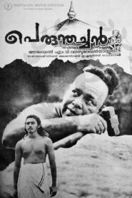 Perumthachan 1991 one on netflix