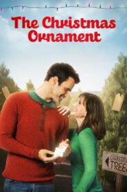 The Christmas Ornament 2013 one on netflix