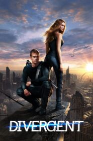 Divergent 2014 one on netflix