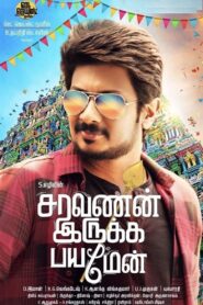 Saravanan Irukka Bayamaen 2017 one on netflix
