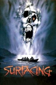 Surfacing 1981 one on netflix
