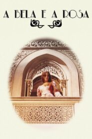 A Bela e a Rosa 1984 one on netflix