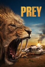 Prey 2024 one on netflix