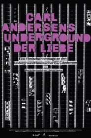 Carl Andersens Underground der Liebe 2015 one on netflix