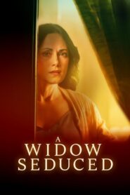 A Widow Seduced 2024 one on netflix