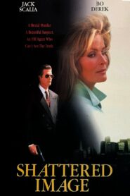 Shattered Image 1994 one on netflix