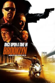Once Upon a Time in Brooklyn 2013 one on netflix