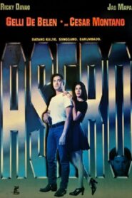 Asero 1995 one on netflix