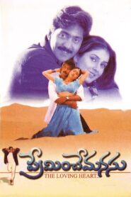 Preminche Manasu 1999 one on netflix