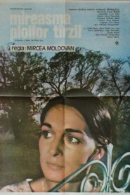 Mireasma ploilor târzii 1984 one on netflix