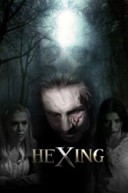 HeXing 2017 one on netflix