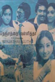 Nenjathai Allitha 1984 one on netflix