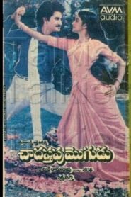 Chadastapu Mogudu 1986 one on netflix
