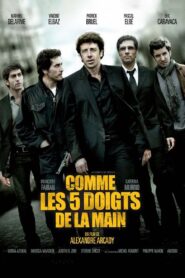 Comme les 5 doigts de la main 2010 one on netflix