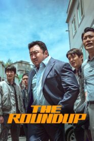 The Roundup 2022 one on netflix