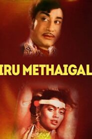 Iru Medhaigal 1984 one on netflix