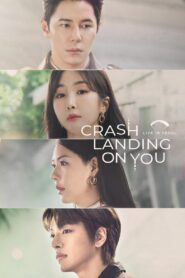 Crash Landing On You: Live in Seoul 2023 one on netflix