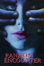 Random Encounter 1998 one on netflix